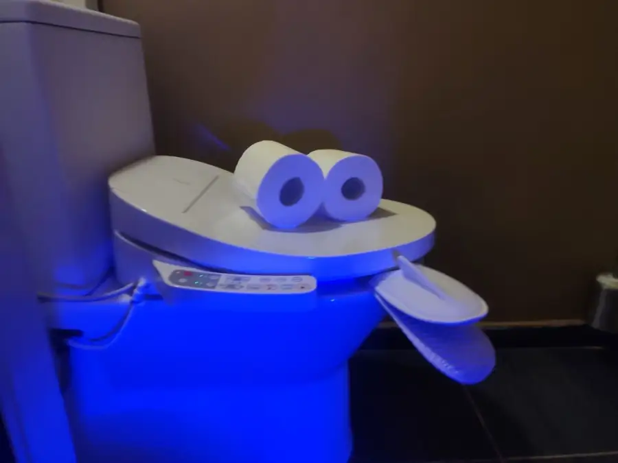 Toilette japonaise grenouille